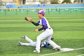 什么是“概率密度”？百家乐结果并非均匀分布（概率密度解析：为何百家乐结果不是均匀分布）