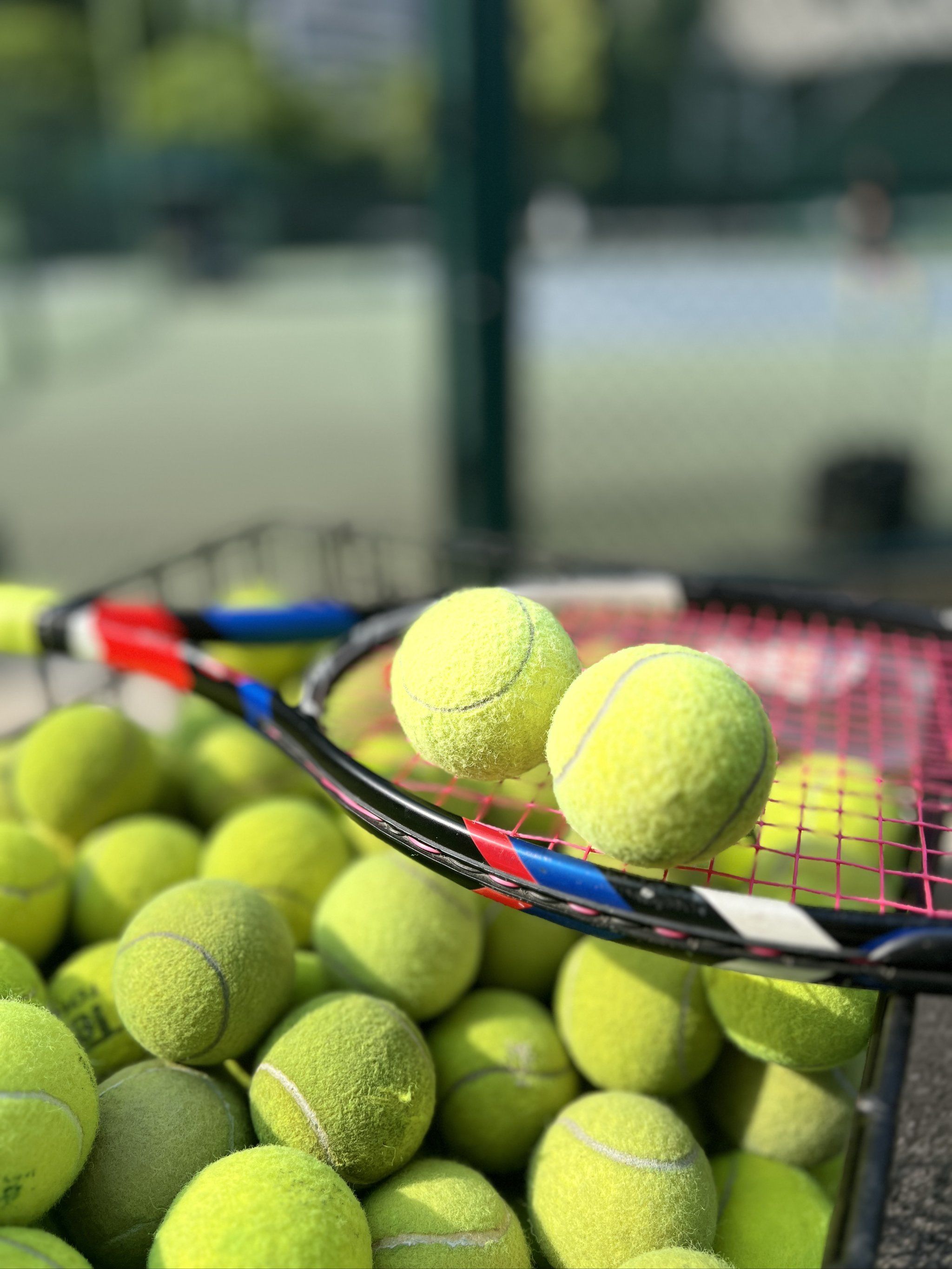 史的代名词 史的代名词