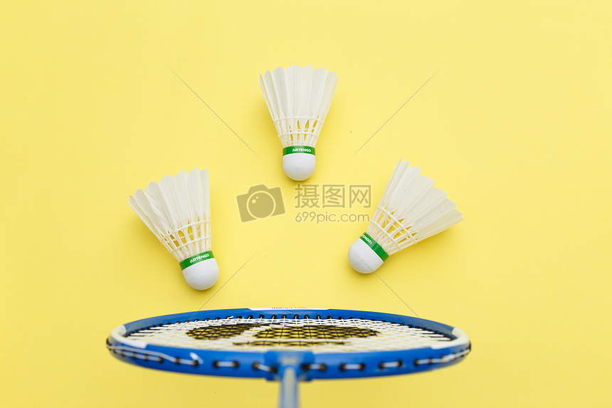 傷病和陣容 傷病和陣容